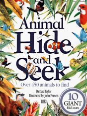 book cover of Animal Hide and Seek by Barbara Taylor