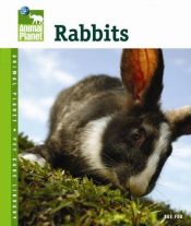 book cover of Rabbits by Sue Fox
