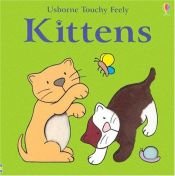 book cover of Kittens (Hide and Seek) by Fiona Watt