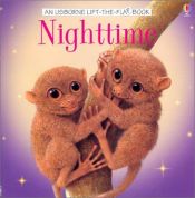 book cover of Nighttime (Usborne Life-the-Flap Book) by Alastair Smith