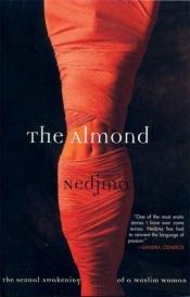 book cover of Amêndoa by Nedjma