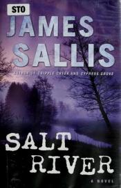 book cover of Salt River by James Sallis