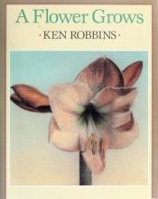 book cover of A flower grows by Ken Robbins