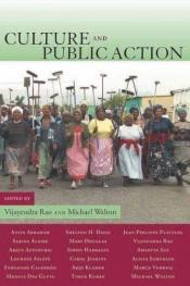 book cover of Culture and public action by Vijayendra Rao