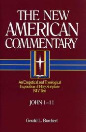 book cover of The New American Commentary - John I-II, Vol. 25A by Gerald Borchert