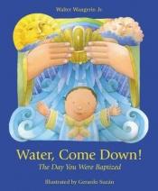 book cover of Water, Come Down!: The Day You Were Baptized by Walter Wangerin