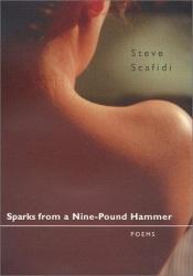 book cover of Sparks from a Nine-Pound Hammer by Steve Scafidi