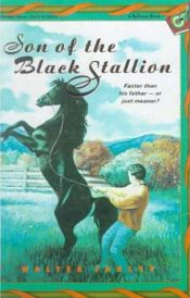 book cover of The Son of the Black Stallion by Walter Farley