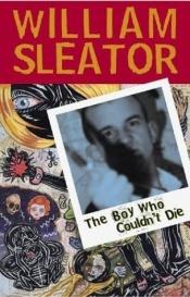 book cover of The boy who couldn't die by William Sleator