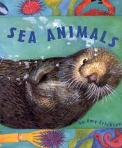 book cover of Sea Animals by Amy Erickson