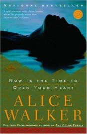 book cover of Now is the Time to Open Your Heart by Alice Walker