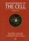 Molecular biology of the cell 4.ed.