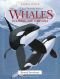 A Visual Introduction to Whales, Dolphins and Porpoises (Animal Watch Series)
