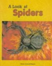 book cover of A Look at Spiders by Jerald Halpern