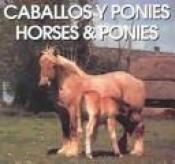 book cover of Caballos Y Ponies by Equipo Editorial