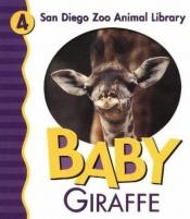 book cover of Baby giraffe by Patricia Pingry