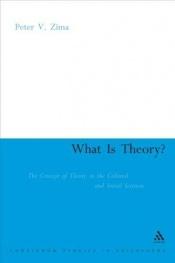 book cover of What is Theory?: Cultural Theory as Discourse and Dialogue by Pierre V. Zima