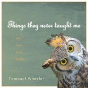 book cover of Things They Never Taught Me by Tompaul Wheeler