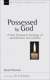 book cover of Possessed by God: A New Testament Theology of Sanctification and Holiness (New Studies in Biblical Theology) by David Peterson