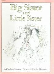 book cover of Big Sister and Little Sister by Charlotte Zolotow