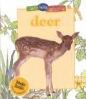 book cover of Deer (Busy Baby Animals) by Jinny Johnson