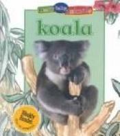book cover of Koala by Jinny Johnson