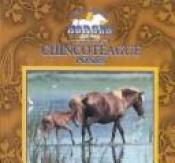book cover of Chincoteague Ponies (Great American Horses) by Victor Gentle