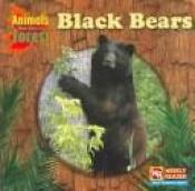 book cover of Black Bears (Animals That Live in the Forest) by JoAnn Early Macken