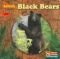 Black Bears (Animals That Live in the Forest)