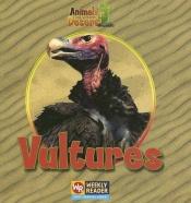 book cover of Vultures by JoAnn Early Macken