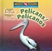 book cover of Pelicans by Kathleen Pohl
