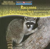 book cover of Raccoons Are Night Animals by Joanne Mattern