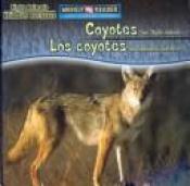 book cover of Coyotes Are Night Animals (Night Animals by Joanne Mattern