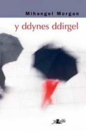 book cover of Y Ddynes Ddirgel by Mihangel Morgan