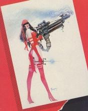 book cover of Elektra, assassin by Frenks Millers