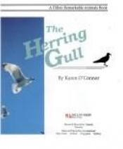 book cover of Herring Gull (Dillon Remarkable Animals Book) by Karen O'Connor