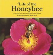 book cover of Im Bienenstock Wunderwelt der Honigbienen by Heiderose Fischer-Nagel