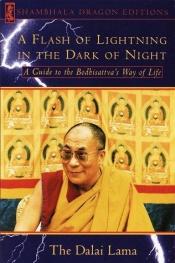book cover of A Flash of Lightning in the Dark of Night: A Guide to the Bodhisattva's Way of Life (Shambhala Dragon Editions) by Dalai-laama