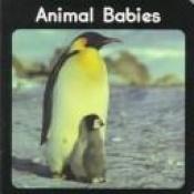 book cover of Animal Babies (Little Nature Books) by Valerie Tracqui