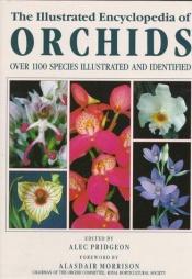 book cover of What Orchid is That? (The 'what' series) by Alec Pridgeon