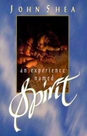 book cover of An Experience Named Spirit by John Shea