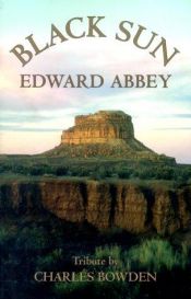 book cover of Black Sun by Edward Abbey