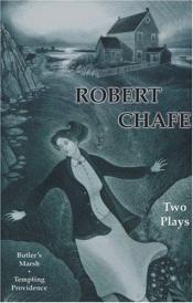 book cover of Tempting Providence by Robert Chafe