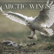book cover of Arctic Wings: Birds of the Arctic National Wildlife Refuge by Stephen W. Brown