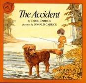 book cover of Accident by Carol Carrick