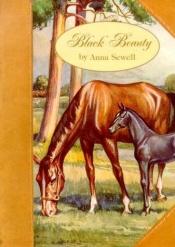 book cover of Black Beauty (Youth Literary Classics) by Robert Frederick