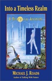 book cover of Into a Timeless Realm: A Metaphysical Adventure by Michael J. Roads