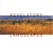 book cover of Revelatory Landscapes by Aaron Betsky