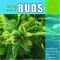 The Big Book of Buds, Vol. 2: More Marijuana Varieties from the World's Great Seed Breeders