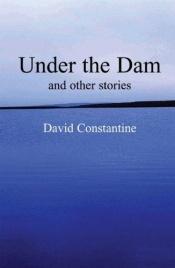 book cover of Under the Dam: and Other Stories by David Constantine